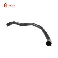 64218409062 Hose