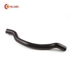 64218409063 Hose