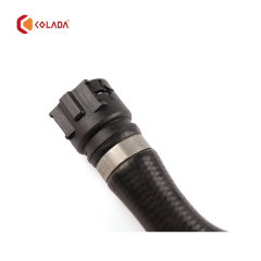 64218381387 Hose
