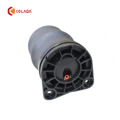 6383280501 Rear Air Suspension Spring