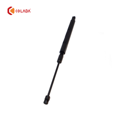 2518800229 Right Gas Stuct Spring
