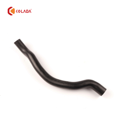 64218409063 Hose