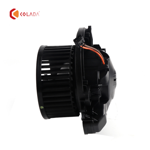 64119350395 Fan