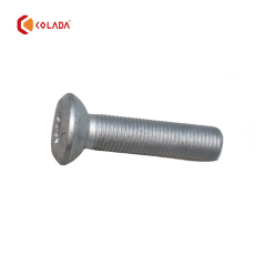 31206872920 Wheel Hub Screw
