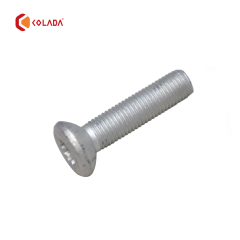 31206855906 Wheel Hub Screw