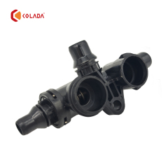 17107559966 Thermostat