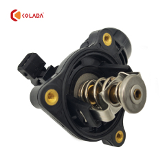 11537510959 Thermostat