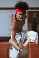 Paulownia Taekwondo Kick Board Разбиваемые доски Доски для разбивания дерева Листы из пробкового дерева Тренировочные доски для тхэквондо Доска для каратэ
