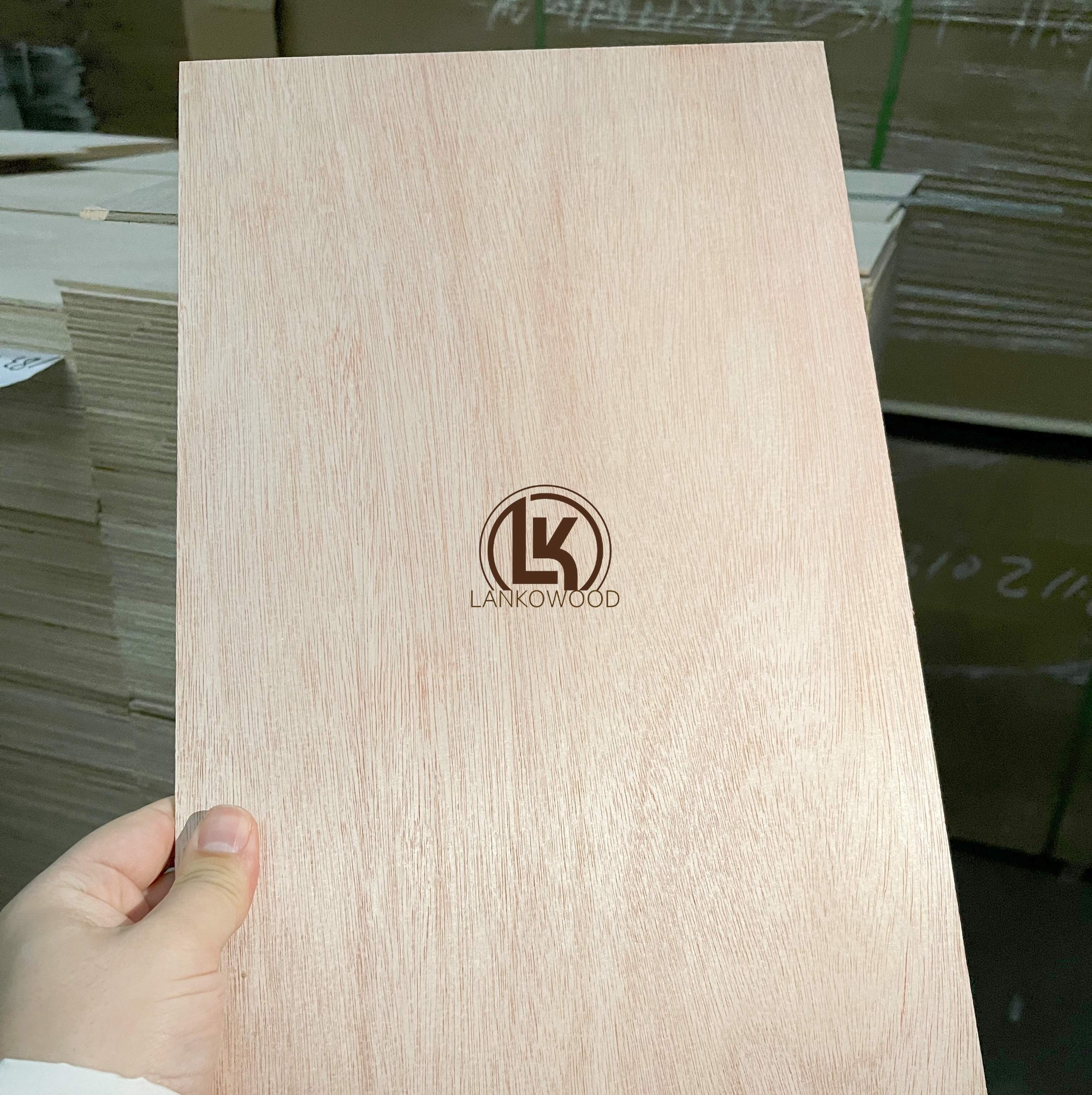 4MM Maritime Poplar Plywood for Marine or Furniture Use