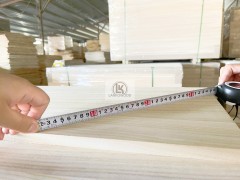 Paulownia Board Paulownia Edge Glued Board Paulownia Panel Shantong Paotong Japanese Kiri Wood Board pour la fabrication de cercueils italiens