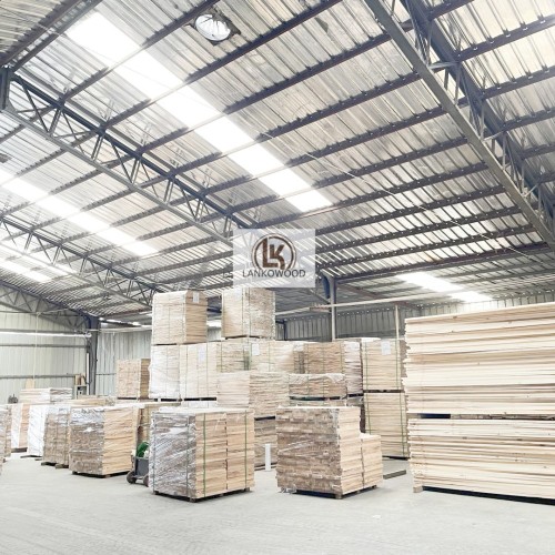 Совет Павловнии