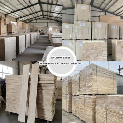 Ván dán cạnh Paulownia Ván gỗ Paulownia Gỗ Tung Trung Quốc Gỗ xẻ Paulownia loại AA để bán