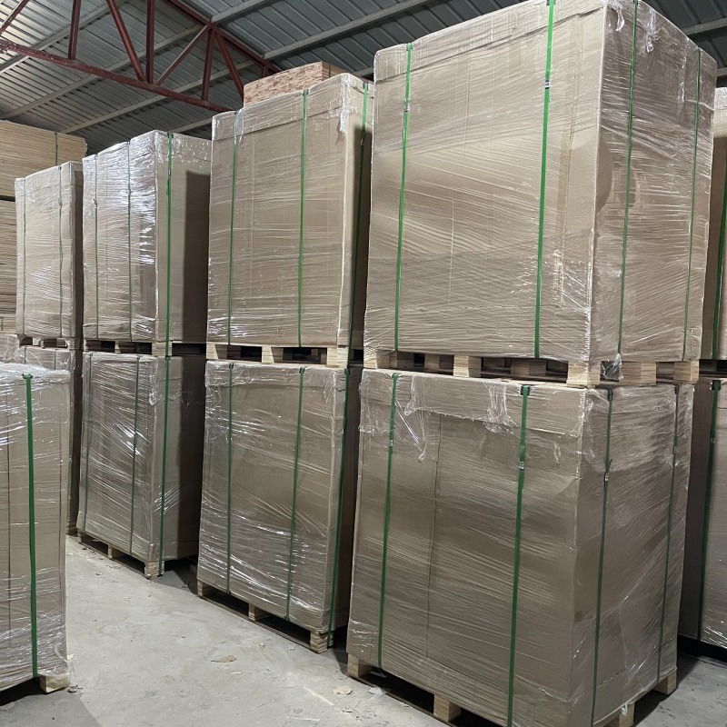 Alveari di Paulownia Pannello di Paulownia per fabbriche di alveari Pannello di Paulownia solido di spessore 22/25 mm