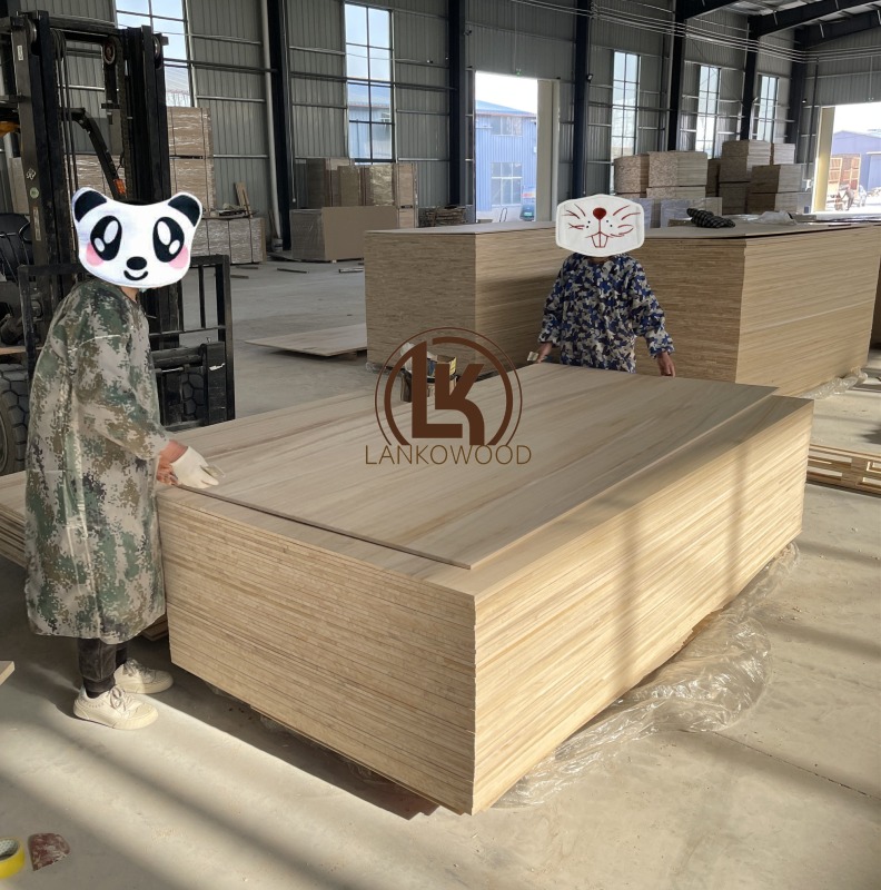 Tavole di legno di Paulownia Shantong Paotong da 18 mm per la fabbricazione di bara