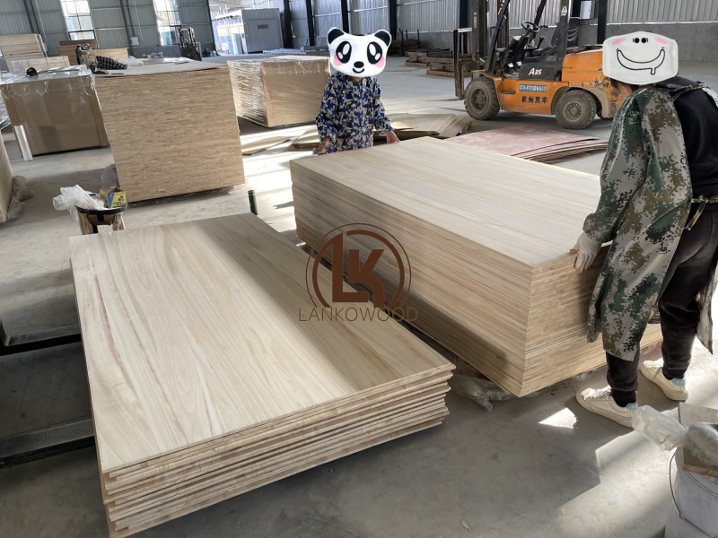 Tavole di legno di Paulownia Shantong Paotong da 18 mm per la fabbricazione di bara