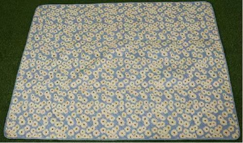 PICNIC MAT