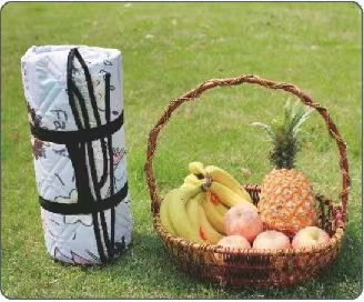 PICNIC MAT