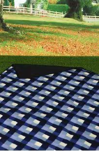 PICNIC MAT