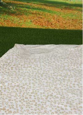 PICNIC MAT