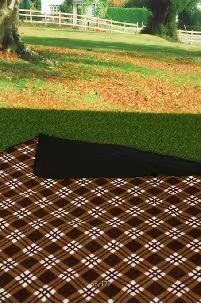 PICNIC MAT