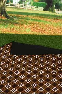 PICNIC MAT