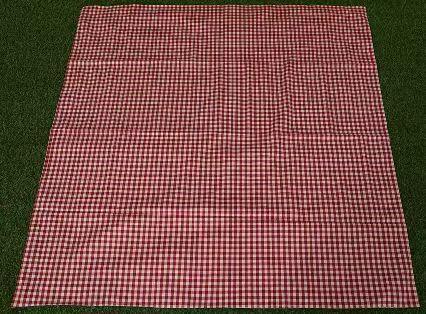PICNIC MAT