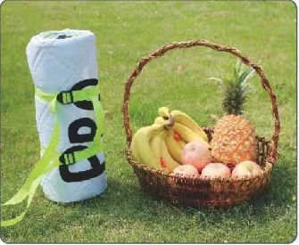 PICNIC MAT