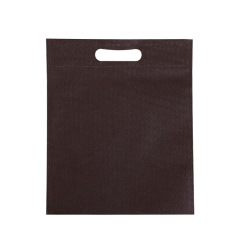 Reusable Non-Woven Bag