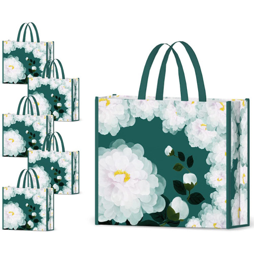 Customized Printing Laminated Non-woven Shopping Tote Bag