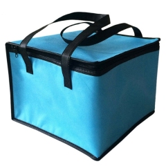 Picnic Lunch Cooler Bag