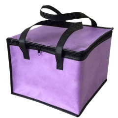 Picnic Lunch Cooler Bag