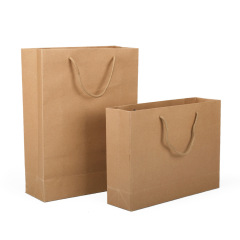 Paper Gift Shopping Bag
