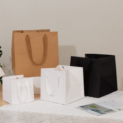 Square Paper Gift Bag