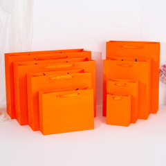 Customized Paper Gift Shopping Bag