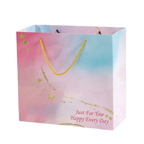 Customized Full Printing Paper Gift Bag with Rope Handle