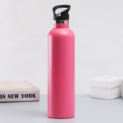 350ml/500ml/600ml/750ml/1000ml Double Wall Stainless Steel Vacuum Bottle