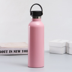350ml/500ml/600ml/750ml/1000ml Double Wall Stainless Steel Vacuum Bottle
