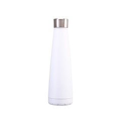 15oz Stainless Steel Insulted Water Bottle