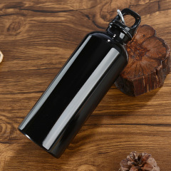 500 ml (17oz.) Aluminum Sports Bottle with Carabineer