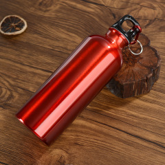 500 ml (17oz.) Aluminum Sports Bottle with Carabineer