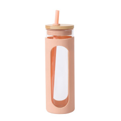 20oz Glass Water Tumble with Straw
