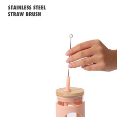 20oz Glass Water Tumble with Straw