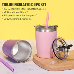 Double Wall Stainless Steel 8.5oz Coffee Mug