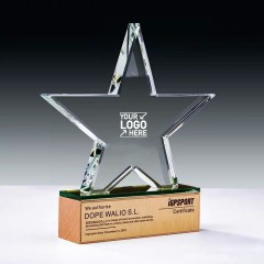 Customized Clear Crystal Star Award