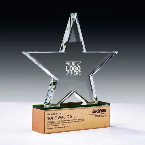 Customized Clear Crystal Star Award