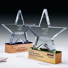Customized Clear Crystal Star Award