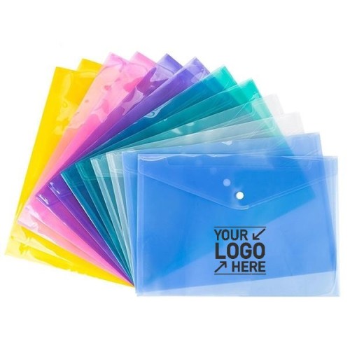 Transparent Document Bag