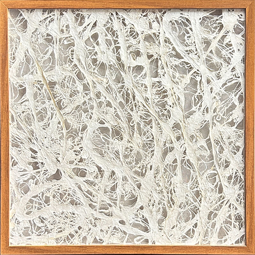 RT-Z-12