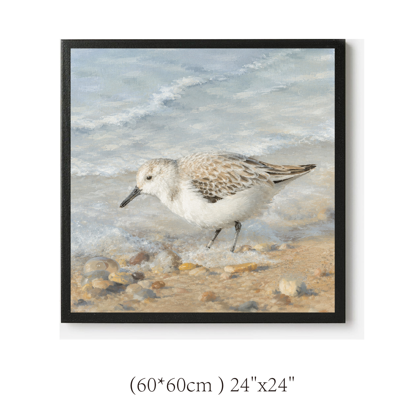 60*60cm ) 24"x24"