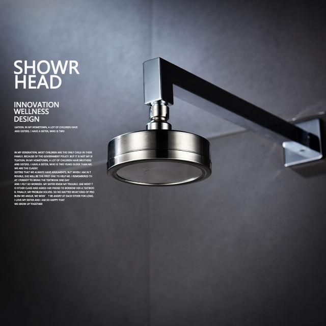 Tecmolog Stainless Steel Brushed Nickel Shower Head, Pressurized Water Saving and 360°  Rotate Shower Head BD141S/BD141AS